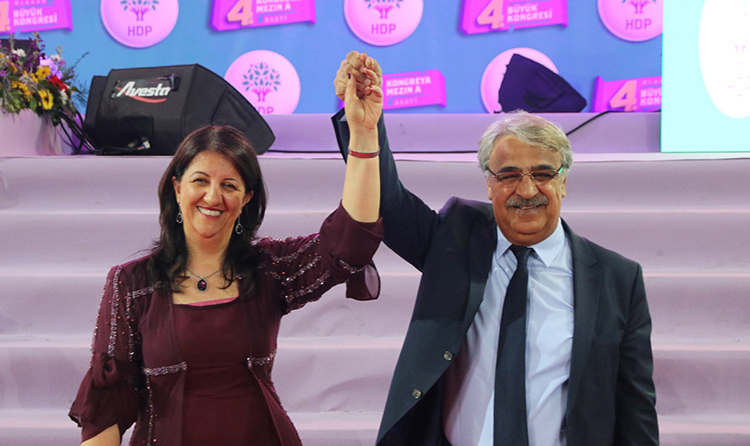 HDP-New-Co-Chairs