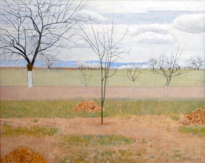 Spring landscape