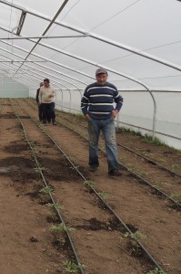 Members of an Oxfam-sponsored farmers’ cooperative in Haghtanak operate a greenhouse where they plant crop varieties and practice techniques to withstand climate change